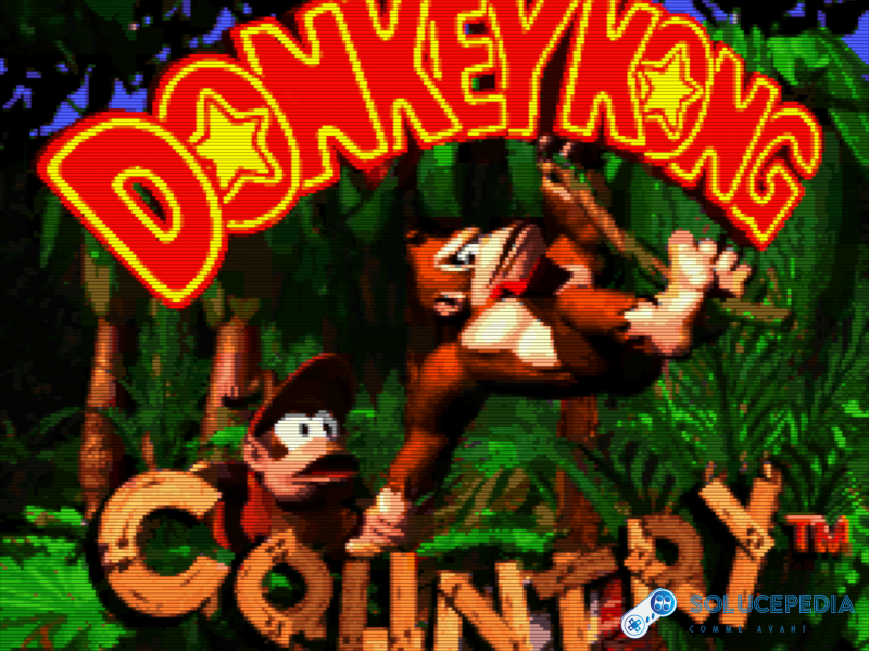 Donkey Kong Country